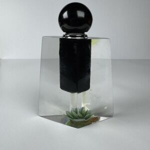 Vintage Succulent Lucite Perfume Bottle Rare Clear And Black